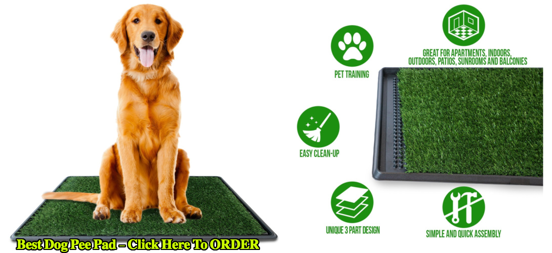 Farm Ranch Pet Dogs Indoor Potty Dog Grass Mat Training Pad Pet